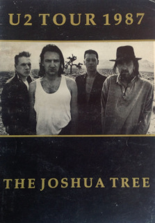 the-joshua-tree-tour